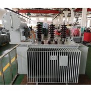 S13-M-1000kVA/10/0.4kV油浸式变