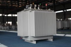 S22-2000kVA/10/0.4kV油浸式变压器